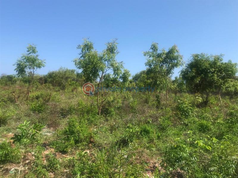 Land For Sale Off Diani Link Rd Diani Ukunda Kwale - 2