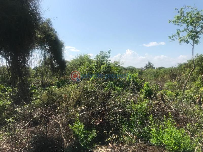 Land For Sale Off Diani Link Rd Diani Ukunda Kwale - 8