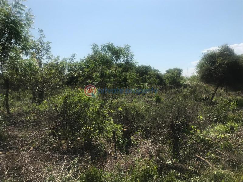 Land For Sale Off Diani Link Rd Diani Ukunda Kwale - 4