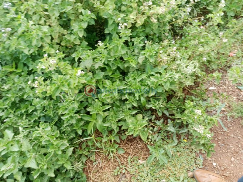 Land For Sale Mountain View Touching Waiyaki Way Nairobi - 0