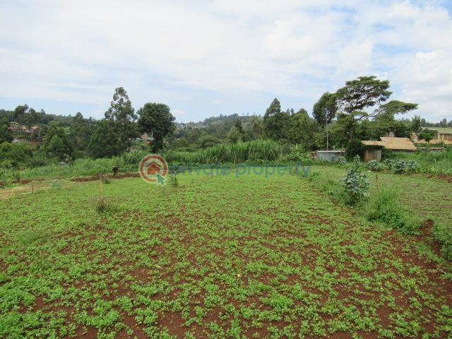 Land For Sale Wangige Kabete. Kiambu - 1