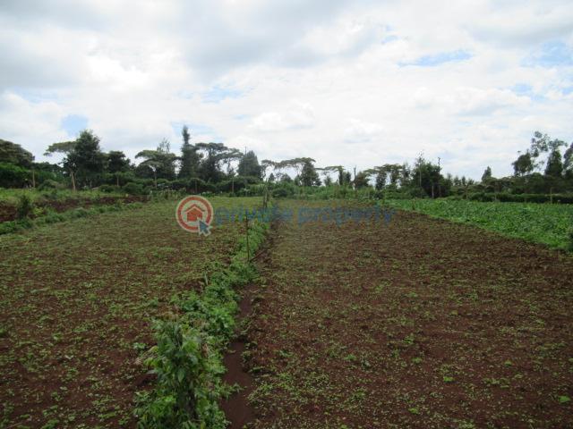 Land For Sale Wangige Kabete. Kiambu - 9