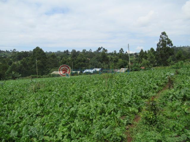 Land For Sale Wangige Kabete. Kiambu - 4