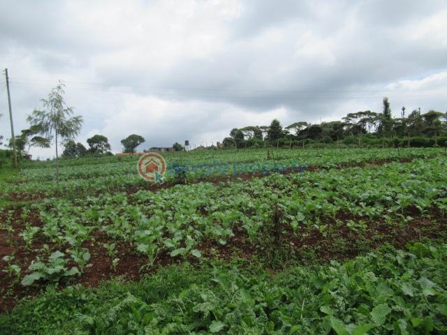 Land For Sale Wangige Kabete. Kiambu - 5