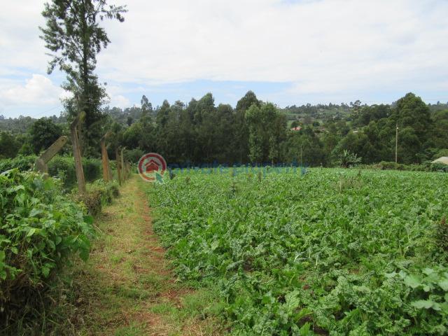 Land For Sale Wangige Kabete. Kiambu - 3