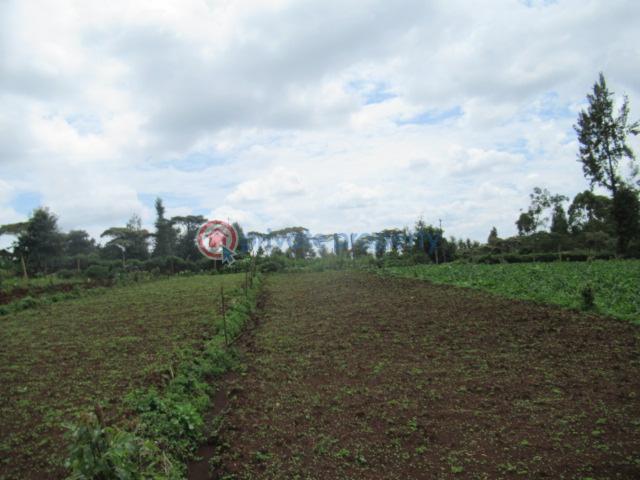 Land For Sale Wangige Kabete. Kiambu - 8