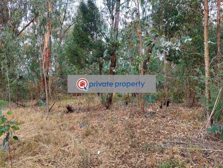 Land For Sale &nbsp;karen Karen Nairobi - 2
