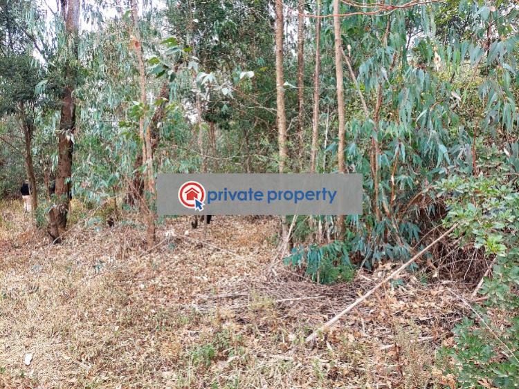 Land For Sale &nbsp;karen Karen Nairobi - 4