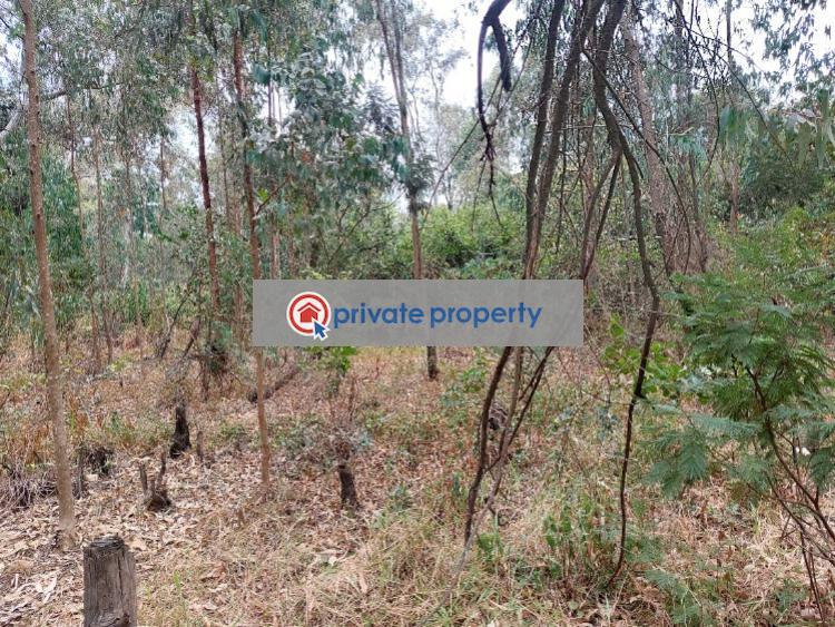 Land For Sale &nbsp;karen Karen Nairobi - 6