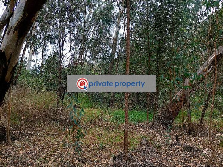 Land For Sale &nbsp;karen Karen Nairobi - 7
