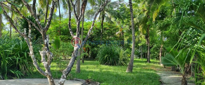 3 bedroom Detached Bungalow For Sale Kanamai Mtwapa Kilifi - 18