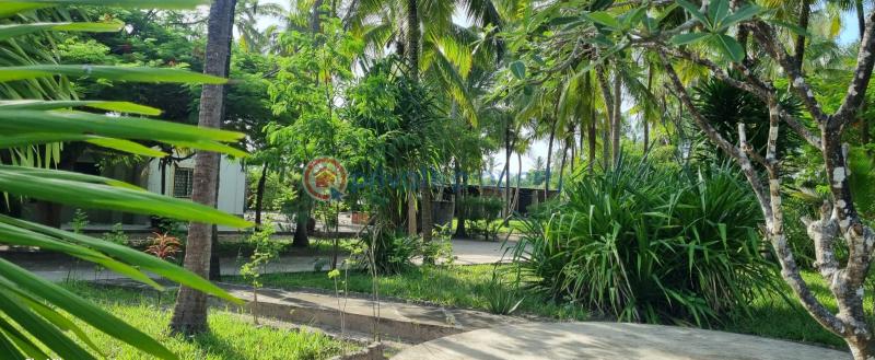 3 bedroom Detached Bungalow For Sale Kanamai Mtwapa Kilifi - 19