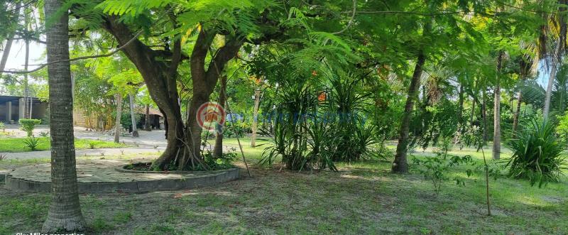 3 bedroom Detached Bungalow For Sale Kanamai Mtwapa Kilifi - 15