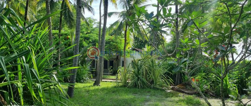 3 bedroom Detached Bungalow For Sale Kanamai Mtwapa Kilifi - 5
