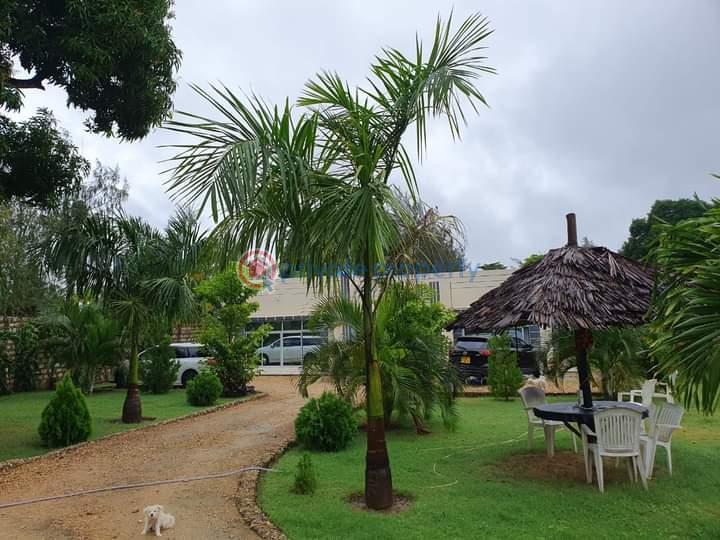 3 bedroom Detached Bungalow For Sale Mtwapa, Animo Mtepeni Kilifi - 3