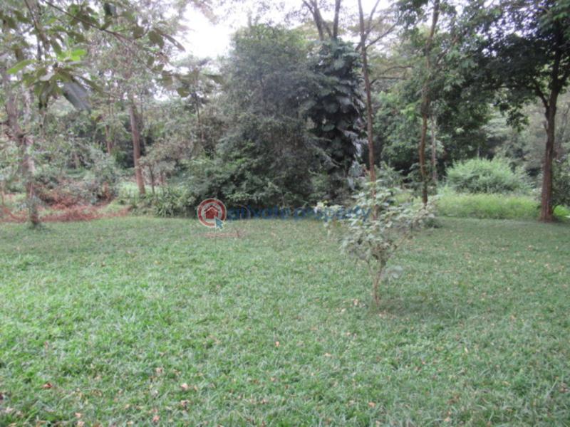 Land For Sale Mushroom Gardens Thindigua Nairobi - 3