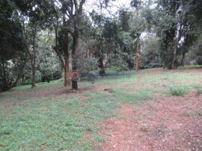 Land For Sale Mushroom Gardens Thindigua Nairobi - 6