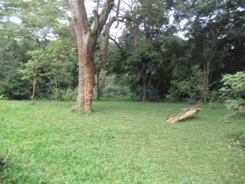 Land For Sale Mushroom Gardens Thindigua Nairobi - 10