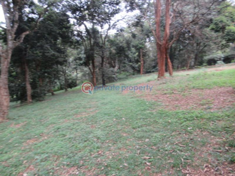 Land For Sale Mushroom Gardens Thindigua Nairobi - 7