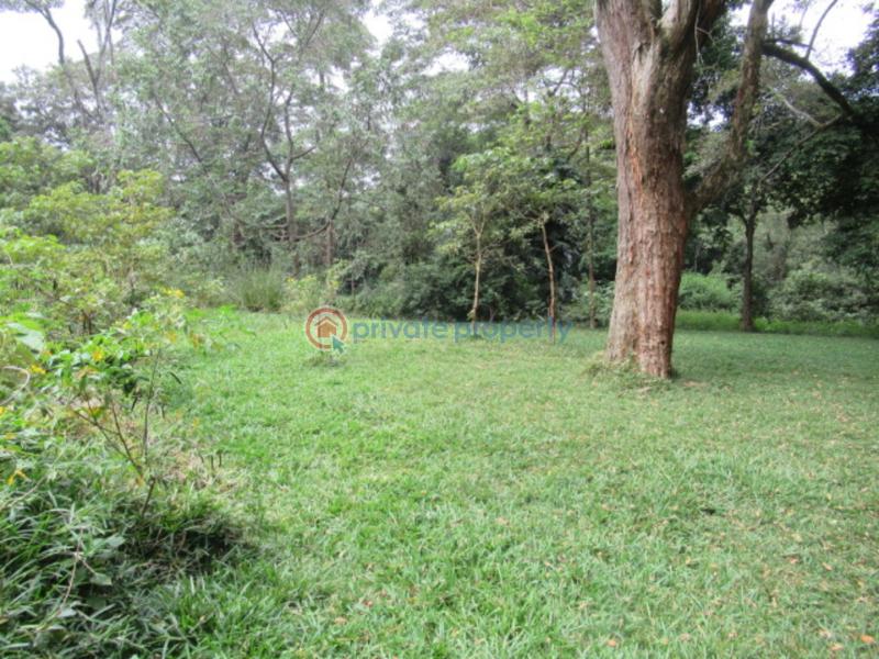 Land For Sale Mushroom Gardens Thindigua Nairobi - 9