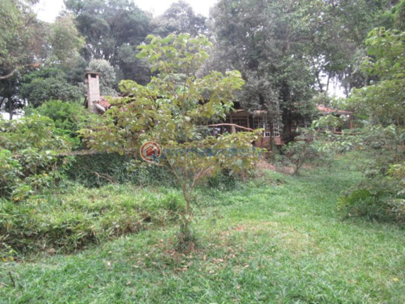 Land For Sale Mushroom Gardens Thindigua Nairobi - 2
