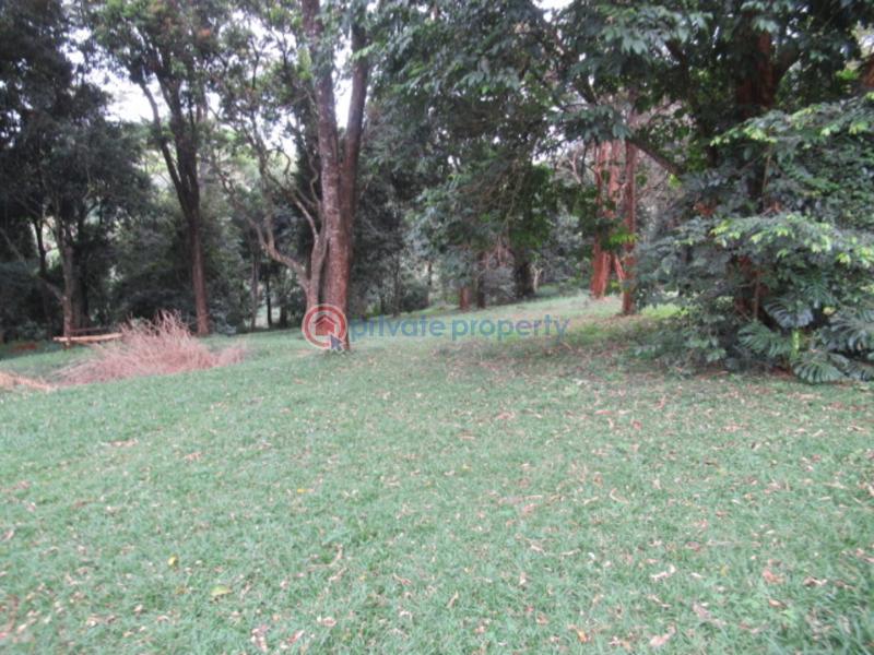 Land For Sale Mushroom Gardens Thindigua Nairobi - 8