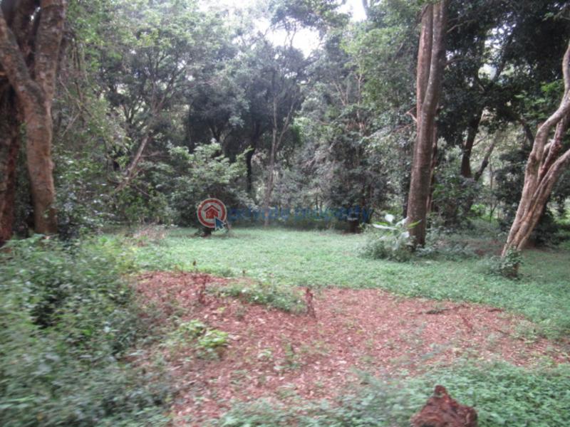 Land For Sale Mushroom Gardens Thindigua Nairobi - 5