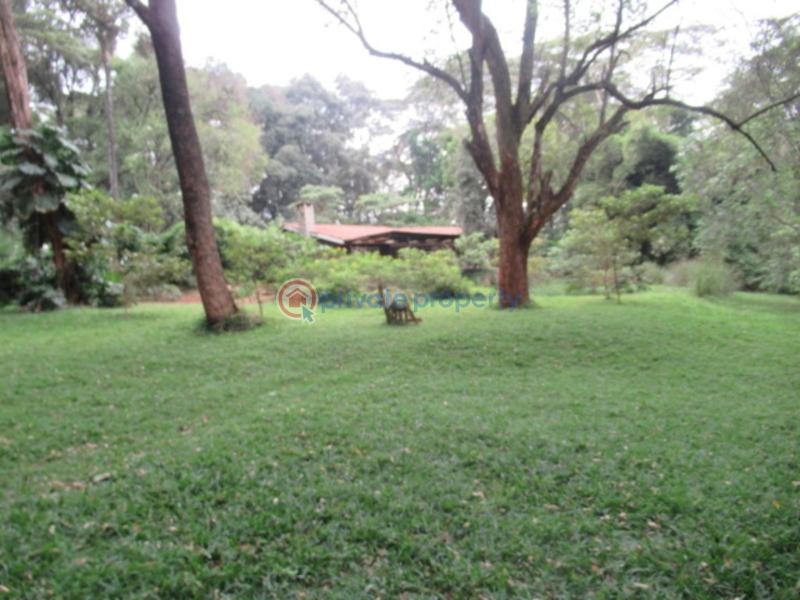 Land For Sale Mushroom Gardens Thindigua Nairobi - 1