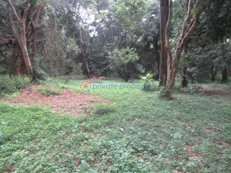 Land For Sale Mushroom Gardens Thindigua Nairobi - 4