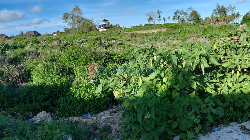 Land For Sale Watamu Jacaranda Watamu Kilifi - 13