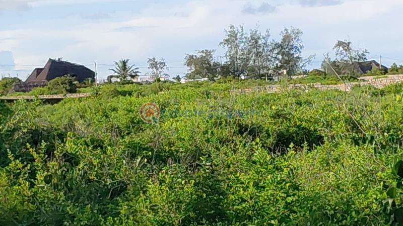Land For Sale Watamu Jacaranda Watamu Kilifi - 14