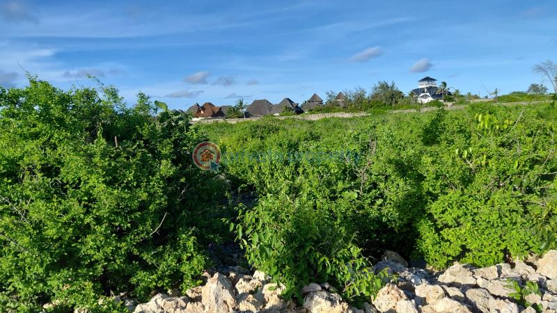 Land For Sale Watamu Jacaranda Watamu Kilifi - 15