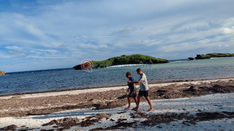 Land For Sale Watamu Jacaranda Watamu Kilifi - 7