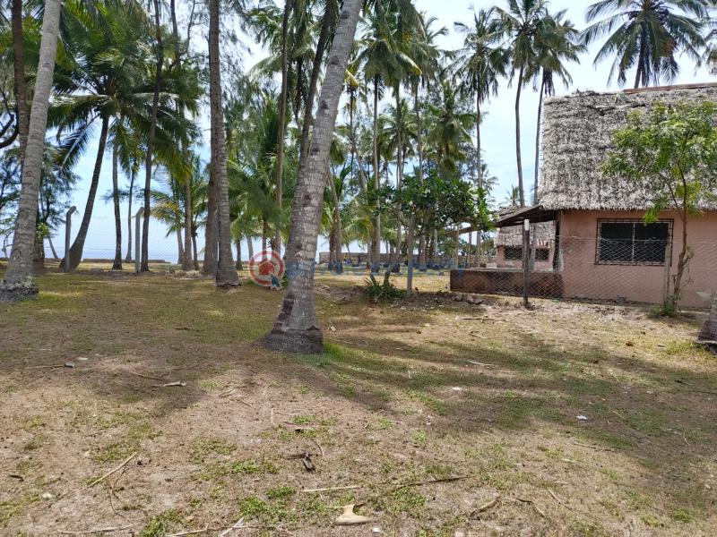 Land For Sale Kikambala Near Sun N Sand Beach Hotel Kikambala Mtwapa Kilifi - 14
