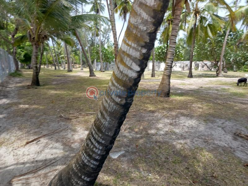 Land For Sale Kikambala Near Sun N Sand Beach Hotel Kikambala Mtwapa Kilifi - 5