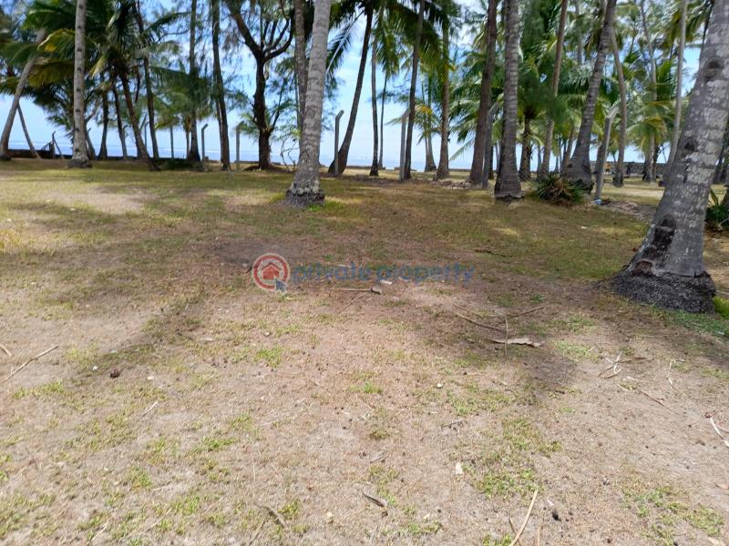 Land For Sale Kikambala Near Sun N Sand Beach Hotel Kikambala Mtwapa Kilifi - 19