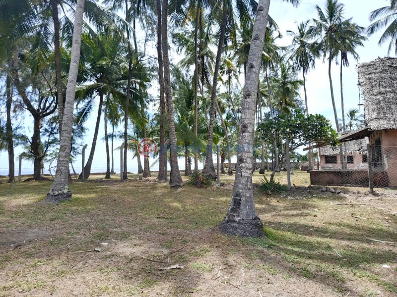 Land For Sale Kikambala Near Sun N Sand Beach Hotel Kikambala Mtwapa Kilifi - 18