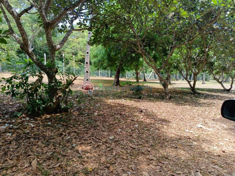 Land For Sale Kikambala Near Sun N Sand Beach Hotel Kikambala Mtwapa Kilifi - 9