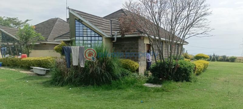 4 bedroom House For Sale Naivasha ,moi South Lake Road Naiavsha Naivasha East Nakuru - 16