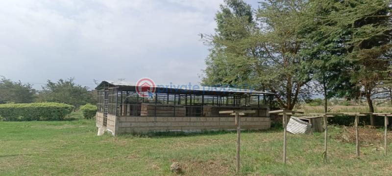 4 bedroom House For Sale Naivasha ,moi South Lake Road Naiavsha Naivasha East Nakuru - 12