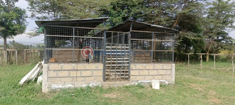 4 bedroom House For Sale Naivasha ,moi South Lake Road Naiavsha Naivasha East Nakuru - 15