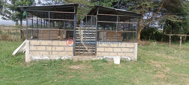 4 bedroom House For Sale Naivasha ,moi South Lake Road Naiavsha Naivasha East Nakuru - 9