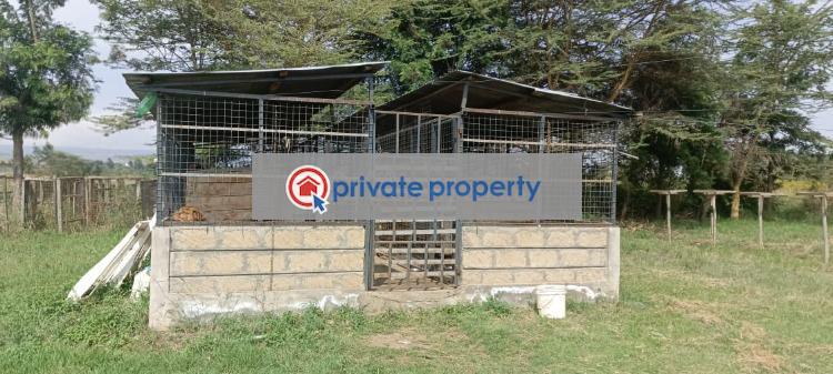 4 bedroom Detached Duplex For Sale &nbsp;moi South Lake Road Naivasha Naivasha East Nakuru - 14
