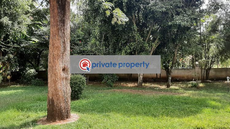Office Space For Rent &nbsp;zambia Road Ngong Kajiado - 9
