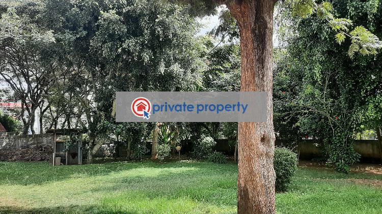 Office Space For Rent &nbsp;zambia Road Ngong Kajiado - 10
