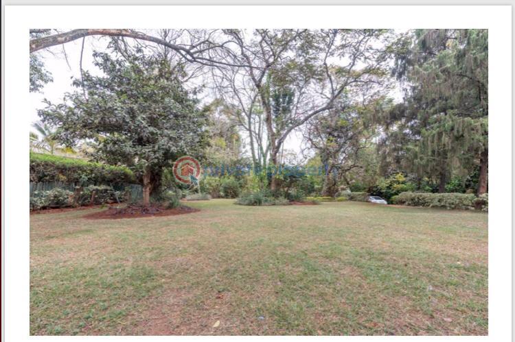 4 bedroom House For Sale Old Muthaiga Nairobi - 3