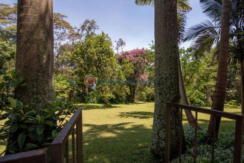 4 bedroom House For Sale Old Muthaiga Nairobi - 7