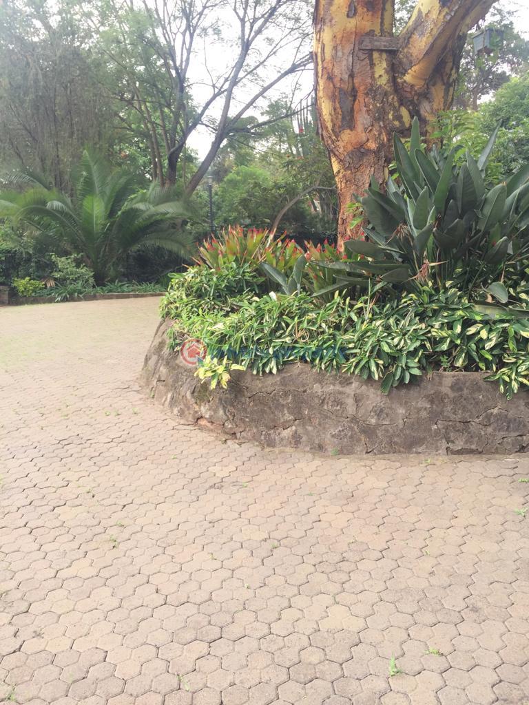 4 bedroom House For Sale Old Muthaiga Nairobi - 0