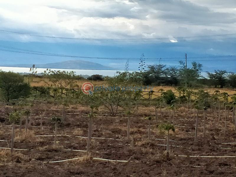 5 bedroom House For Sale moi South Lake Road Naivasha East Nakuru - 9