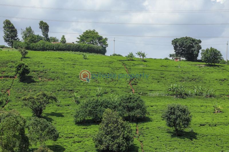 4 bedroom House For Sale Redhill Ndenderu Kiambu - 25